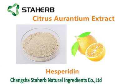 China La planta natural pura del extracto de Aurantium de la fruta cítrica extrae la hesperidina Cas ningún 520-26-3 proveedor