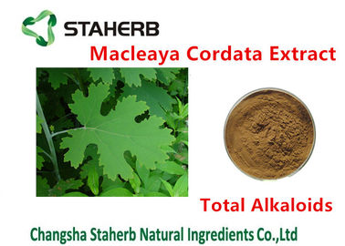 China Color antibacteriano de los alcaloides 20%-60% Brown del total del extracto de Cordata del Macleaya de la planta proveedor