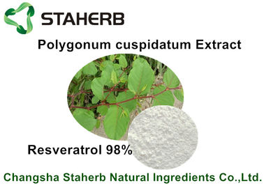 China Resveratrol extracto cosmético crudo de Cuspidatum del Polygonum de los ingredientes del 50% - del 98% proveedor
