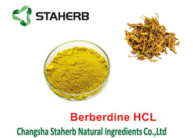 China La planta natural pura del extracto Chinensis del Coptis extrae el ácido clorhídrico el 98% de Berberine proveedor