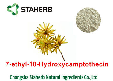 China Ninguna planta natural pura 86639-52-3 del Cas extrae 7 - etilo - 10 - polvo de Hydroxycamptothecin proveedor