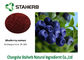 Antocianidina púrpura 5%-30% del color del arándano del arándano del polvo orgánico del extracto proveedor