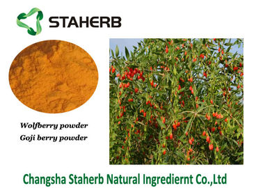 Polvo vegetal del extracto de Wolfberry, polisacárido del extracto el 50% de la baya de Goji proveedor