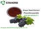 OPC orgánico el 95% CAS 84929 del extracto de la semilla de la uva de los ingredientes del maquillaje del oxidante anti 27 1 proveedor