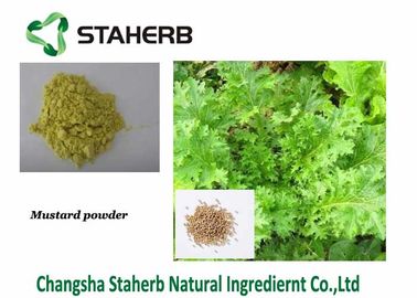 Nutrición completa de la mostaza del polvo del Wasabi de la semilla de la extracción orgánica negra/blanca de la pieza proveedor