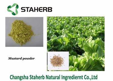 Nutrición completa de la mostaza del polvo del Wasabi de la semilla de la extracción orgánica negra/blanca de la pieza proveedor