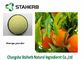 Extractos antibacterianos de la planta de la fruta anaranjada, polvo deshidratado de Aurantium de la fruta cítrica amarillo claro proveedor