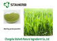 Extracción secada a presión de aire del color verde de Gine del polvo del jugo de la hierba de cebada de la hierba proveedor