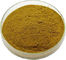 Polvo orgánico de Brown del extracto de la hoja de la hierbabuena de la naturaleza pura 10/1 ratio por el TLC proveedor