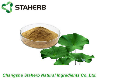 Peso que pierde CLAR del extracto el Nuciferine1%-3% de la hoja de Lotus de los ingredientes de las materias primas proveedor