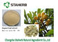 Extractos naturales puros de la planta del Loquat de Maslinic del extracto ácido de la hoja 4373-41-5 proveedor