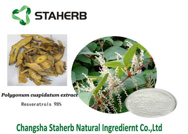 Extracto antioxidante del cuspidatum del Polygonum del suplemento dietético del Resveratrol proveedor