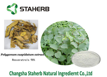 Extracto antioxidante del cuspidatum del Polygonum del suplemento dietético del Resveratrol proveedor