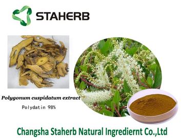Polvo fino cristalino blanco de los extractos de Polydatin del Polygonum del extracto herbario puro del cuspidatum proveedor