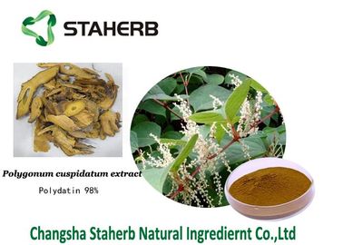 Polvo fino cristalino blanco de los extractos de Polydatin del Polygonum del extracto herbario puro del cuspidatum proveedor