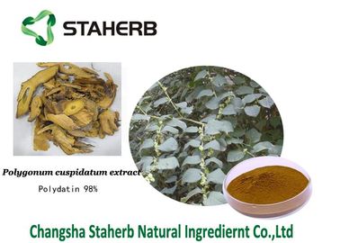 Polvo fino cristalino blanco de los extractos de Polydatin del Polygonum del extracto herbario puro del cuspidatum proveedor