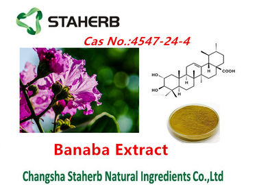 La planta natural pura Banaba de los extractos ácidos de Corsolic extrae Cas No.4547-24-4 proveedor