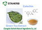 Polvo antioxidante del catecol 50-98% del suplemento dietético del extracto del té verde proveedor