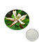la planta antimicrobiana extrae el honokiol del extracto de la corteza de la magnolia para los suplementos sanos proveedor